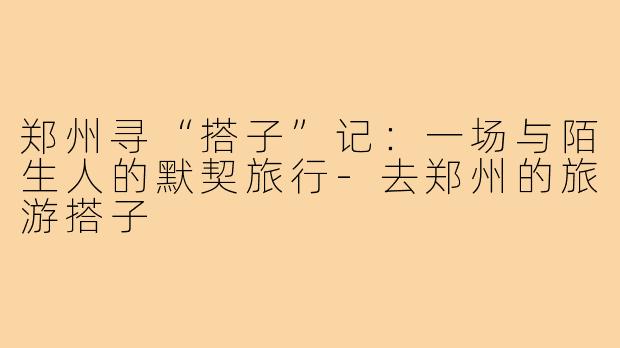 郑州寻“搭子”记：一场与陌生人的默契旅行-去郑州的旅游搭子