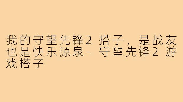 我的守望先锋2搭子,是战友也是快乐源泉-守望先锋2游戏搭子