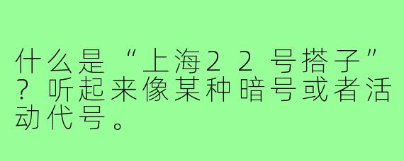 什么是“上海22号搭子”？听起来像某种暗号或者活动代号。