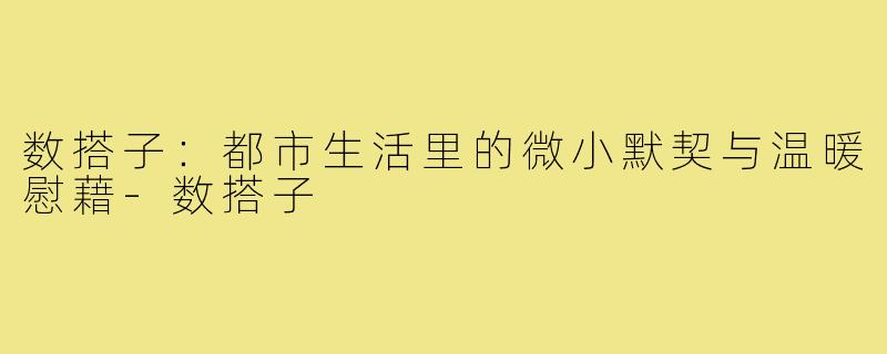 数搭子：都市生活里的微小默契与温暖慰藉-数搭子