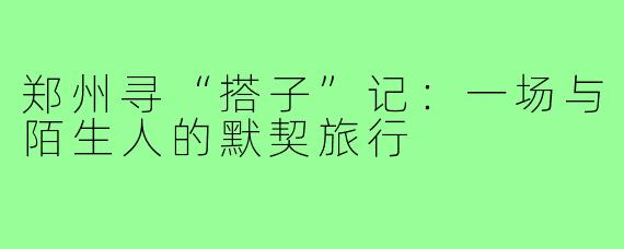 郑州寻“搭子”记：一场与陌生人的默契旅行