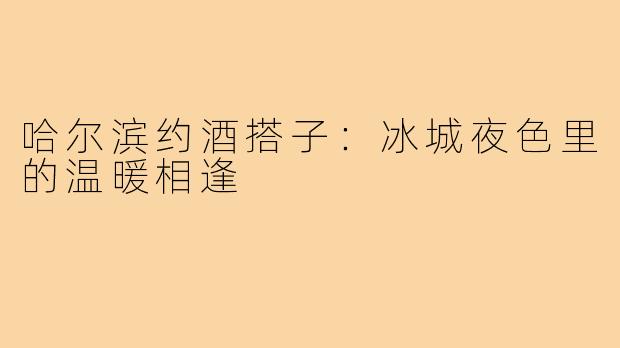 哈尔滨约酒搭子:冰城夜色里的温暖相逢