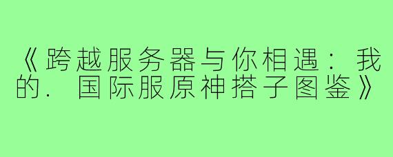 《跨越服务器与你相遇：我的.国际服原神搭子图鉴》