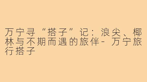 万宁寻“搭子”记：浪尖、椰林与不期而遇的旅伴-万宁旅行搭子