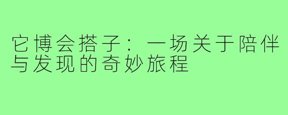 它博会搭子：一场关于陪伴与发现的奇妙旅程