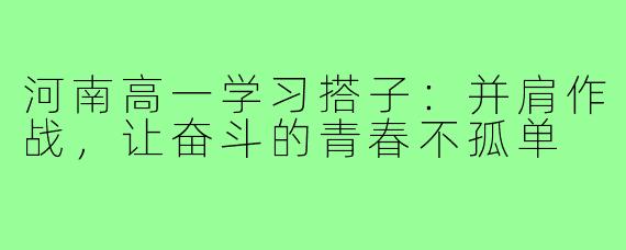 河南高一学习搭子：并肩作战，让奋斗的青春不孤单