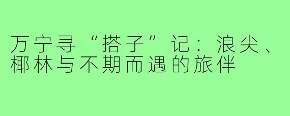 万宁寻“搭子”记：浪尖、椰林与不期而遇的旅伴