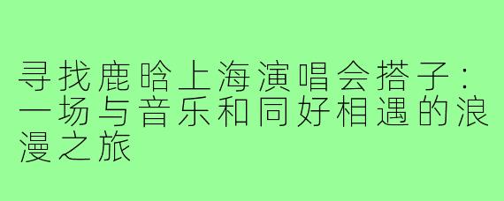 寻找鹿晗上海演唱会搭子：一场与音乐和同好相遇的浪漫之旅