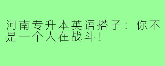 河南专升本英语搭子：你不是一个人在战斗！