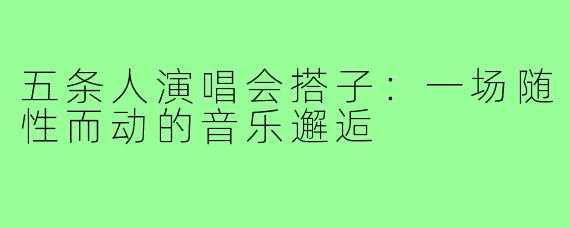 五条人演唱会搭子：一场随性而动的音乐邂逅