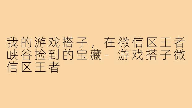 我的游戏搭子,在微信区王者峡谷捡到的宝藏-游戏搭子微信区王者