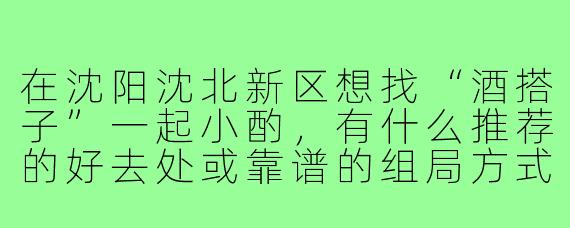 在沈阳沈北新区想找“酒搭子”一起小酌，有什么推荐的好去处或靠谱的组局方式吗？
