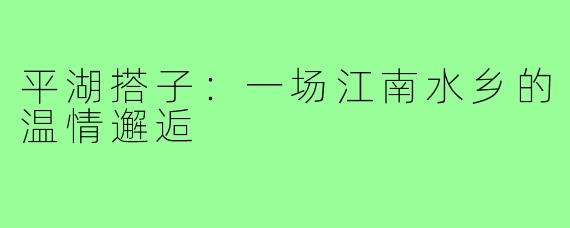 平湖搭子：一场江南水乡的温情邂逅