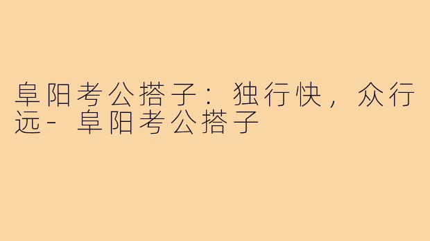 阜阳考公搭子：独行快，众行远-阜阳考公搭子