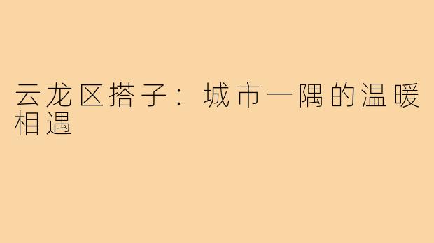 云龙区搭子:城市一隅的温暖相遇