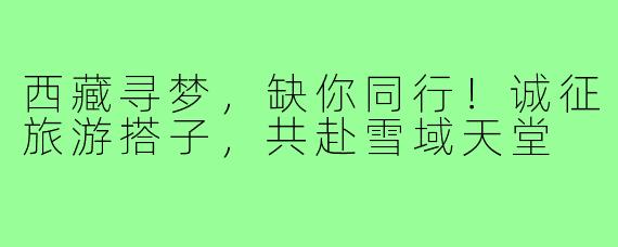 西藏寻梦，缺你同行！诚征旅游搭子，共赴雪域天堂