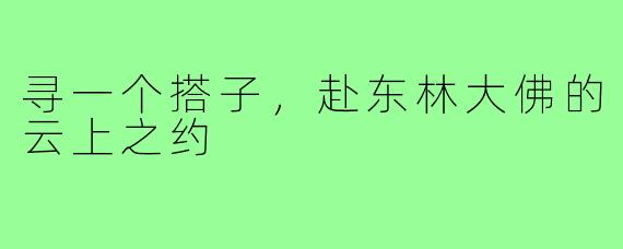 寻一个搭子，赴东林大佛的云上之约