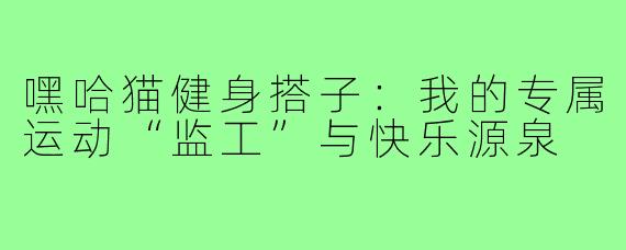 嘿哈猫健身搭子:我的专属运动“监工”与快乐源泉
