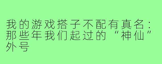 我的游戏搭子不配有真名：那些年我们起过的“神仙”外号