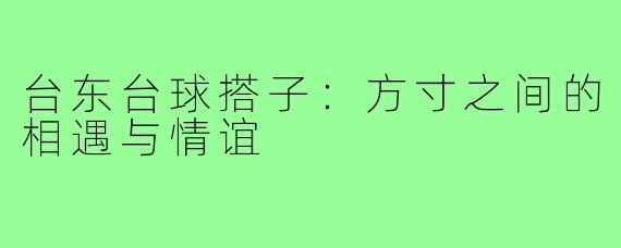 台东台球搭子：方寸之间的相遇与情谊