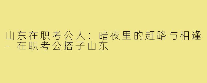 山东在职考公人：暗夜里的赶路与相逢-在职考公搭子山东