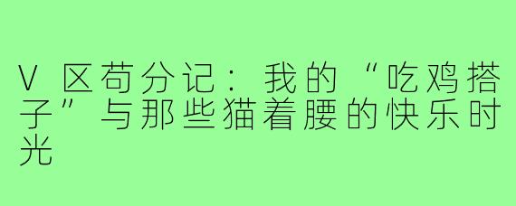 V区苟分记：我的“吃鸡搭子”与那些猫着腰的快乐时光