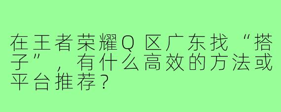 在王者荣耀Q区广东找“搭子”,有什么高效的方法或平台推荐?