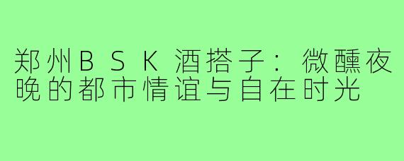 郑州BSK酒搭子：微醺夜晚的都市情谊与自在时光