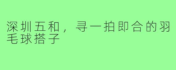 深圳五和,寻一拍即合的羽毛球搭子