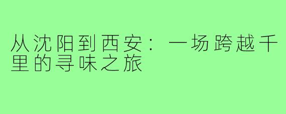 从沈阳到西安:一场跨越千里的寻味之旅
