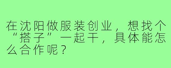 在沈阳做服装创业，想找个“搭子”一起干，具体能怎么合作呢？