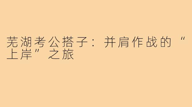 芜湖考公搭子：并肩作战的“上岸”之旅