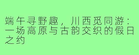端午寻野趣，川西觅同游：一场高原与古韵交织的假日之约