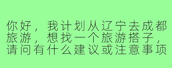 你好，我计划从辽宁去成都旅游，想找一个旅游搭子，请问有什么建议或注意事项吗？