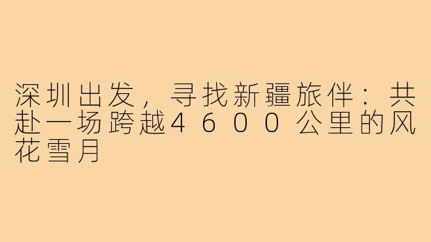 深圳出发，寻找新疆旅伴：共赴一场跨越4600公里的风花雪月
