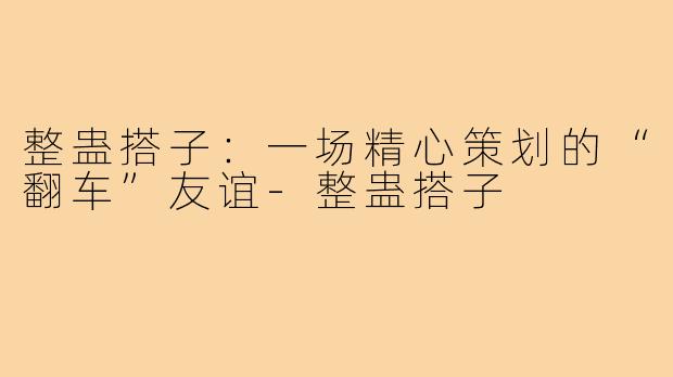 整蛊搭子:一场精心策划的“翻车”友谊-整蛊搭子