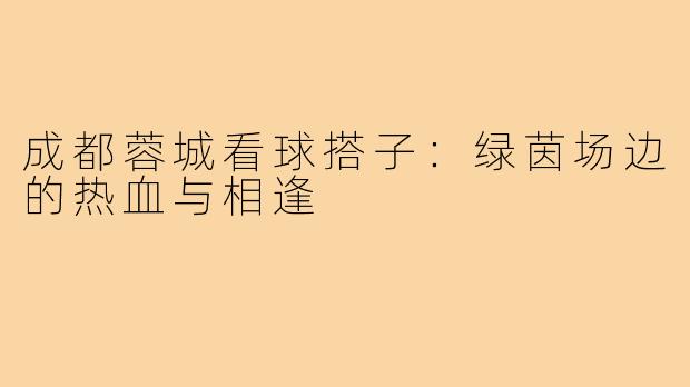 成都蓉城看球搭子:绿茵场边的热血与相逢