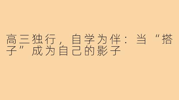 高三独行,自学为伴:当“搭子”成为自己的影子