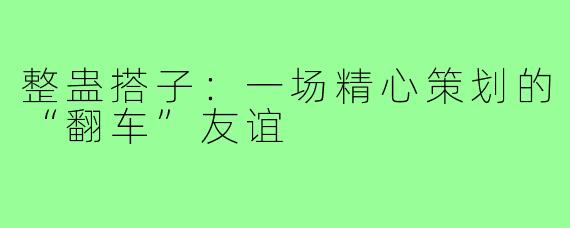整蛊搭子：一场精心策划的“翻车”友谊