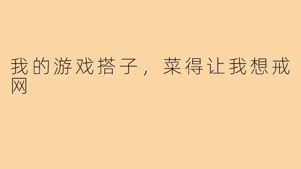 我的游戏搭子,菜得让我想戒网