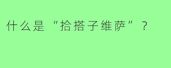 什么是“拾搭子维萨”?