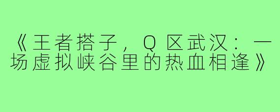 《王者搭子，Q区武汉：一场虚拟峡谷里的热血相逢》