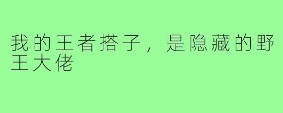 我的王者搭子,是隐藏的野王大佬