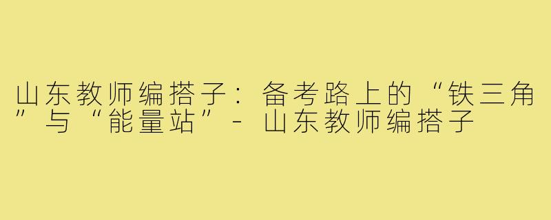 山东教师编搭子：备考路上的“铁三角”与“能量站”-山东教师编搭子