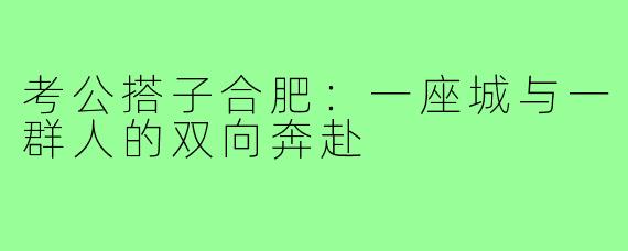 考公搭子合肥：一座城与一群人的双向奔赴