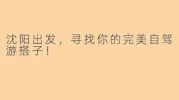 沈阳出发，寻找你的完美自驾游搭子！