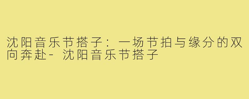 沈阳音乐节搭子:一场节拍与缘分的双向奔赴-沈阳音乐节搭子
