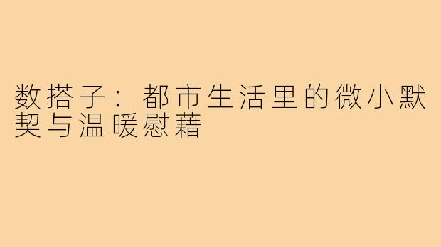 数搭子：都市生活里的微小默契与温暖慰藉