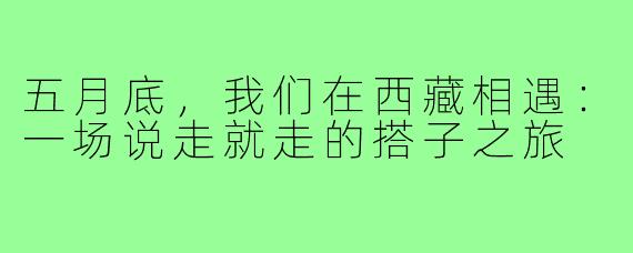 五月底，我们在西藏相遇：一场说走就走的搭子之旅