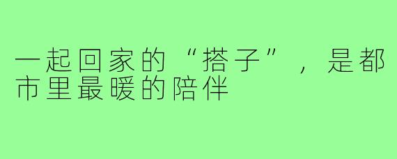 一起回家的“搭子”，是都市里最暖的陪伴